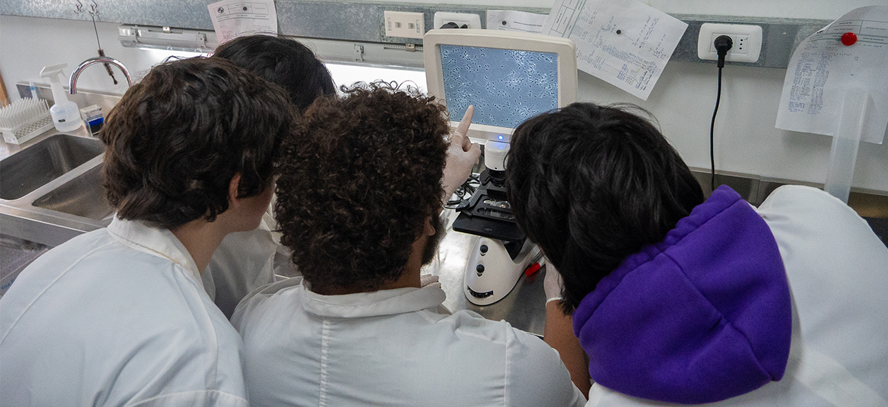 Estudiantes mirando un monitor